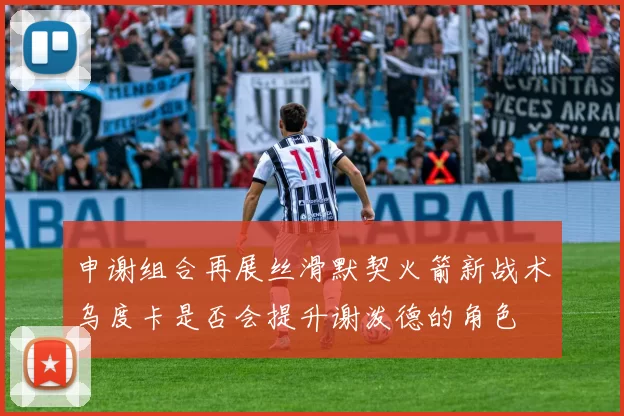 申谢组合再展丝滑默契火箭新战术乌度卡是否会提升谢泼德的角色